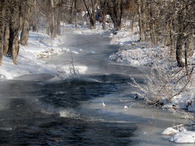 Speafish Creek.jpg